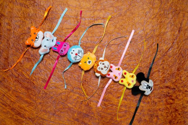 Embroidery Teddy Face Rakhi