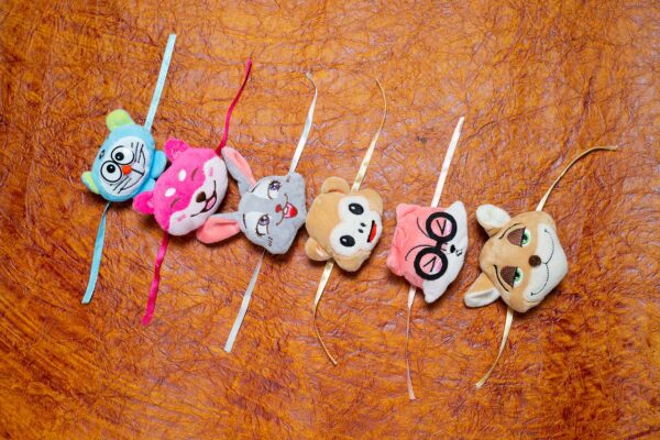 Embroidery Teddy Face Rakhi